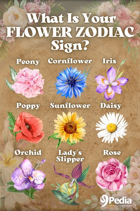 The 9 Flower Zodiac Signs And Their Meaning – What Is My Flower Sign? #flowersign #flowerzodiac #zodiac #flowertotem #flowerspirit #floralzodiac Taurus Zodiac Flower, Zodiac Flowers Birth Month, Flower Zodiac Signs, Birthflower Zodiac Tattoo, Zodiac Signs Flowers, Gemini Flower Tattoo, Zodiac Flower Tattoo, Sagittarius Flower, Pisces Flower