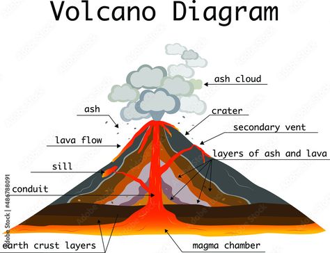 Volcano Labelled Diagram, Volcano Diagram, Volcano Parts, Volcano Drawing, Magma Chamber, Shield Volcano, Volcanic Mountains, School Designs, Block Diagram