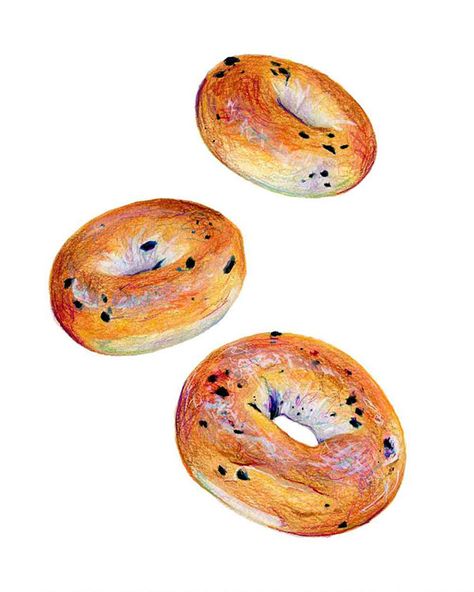 Kendyll Hillegas, Bagel Art, Blueberry Food, Watercolour Food, Donut Mix, Blueberry Bagel, Bread Pastry, Food Art Painting, Art For Kitchen