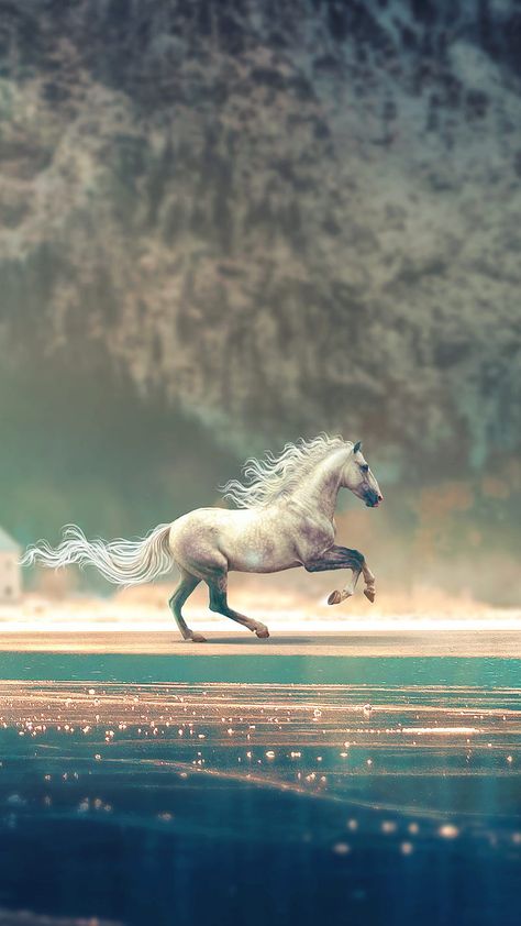 Horse Wallpaper Explore more Animal, Domesticated, Hoofed, Horse, Mammal. wallpaper. https://www.whatspaper.com/horse-wallpaper-46/ Running Horse Wallpaper, Running Horse Wallpaper For Phone, Wild Animal Wallpaper, Cute Horse Pictures, Mustang Horse, Fantasy Horses, Running Horse, Horse Wallpaper, Running Horses