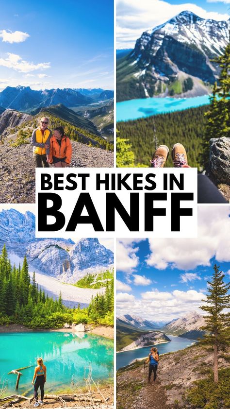 The best hikes in Banff National Park Hiking Banff, Banff Vacation, National Parks Canada, Hiking Alberta, Banff Hiking, Hikes In Banff, Canada Places, Alberta Calgary, Alberta Canada Travel