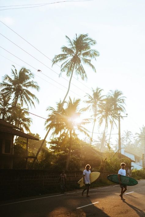 The Surf · Sunshinestories Surf Camp Yoga Retreat Sri Lanka Sri Lanka Surf, Sunrise Home, Surf Aesthetic, Freedom Travel, Meditation Retreat, Morning Commute, Surf Camp, Surf Lifestyle, Surfing Photography