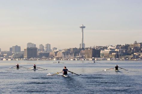 South Lake Union Seattle, Lake Washington Seattle, Lake Union Seattle, Boat Wake, Sailing Lessons, Small Yachts, Romantic Cruise, Lakefront Property, Lake Union