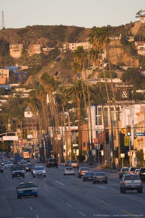 Sunset Blvd., at Garner, Los Angeles Sophie Kinsella, Los Angeles Hollywood, Cali Life, Sunset Boulevard, California Vibe, Sunset Strip, California Love, City Of Angels, California Dreamin'