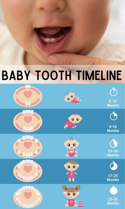 Teething Patterns in Babies: What Order Do First Teeth Come? - In The Playroom First Teeth Baby Photography, Mom Survival Kit, Nursing Essentials, Teething Toddler, Newborn Baby Tips, Advice For New Moms, Baby Boy Photography, New Experiences, Baby Necessities