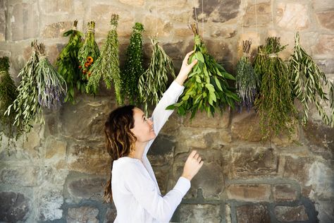 I love to make dried herb bundles — you can crush or grind them for vibrant seasoning in your cooking. Learn how to create your own! Herb Bundles, Herb Infused Olive Oil, Drying Fresh Herbs, Hanging Herbs, Infused Olive Oil, Planting Herbs, Drying Herbs, Permaculture, Herb Garden