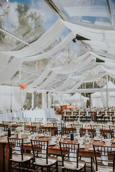 Clear Top Tent Wedding, Clear Top Tent, Become A Wedding Planner, Wedding Planner Job, Event Planers, Harvest Tables, Wedding Planner Career, Tent Decor, Winnipeg Wedding