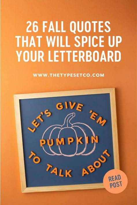 Wait, is that pumpkin-spiced hummus? Well then it must be fall! Take a look at these fresh and fun fall quote ideas for your letter board to celebrate the changing of the seasons. Cute Letter Board Ideas Funny, Fall Reader Board Sayings, Autumn Letterboard Quotes, Letter Boards For Fall, Funny Fall Quotes Autumn, Pumpkin Letterboard Quotes, Letter Board Quotes For Fall, September Letter Board Ideas, Fall Board Sayings