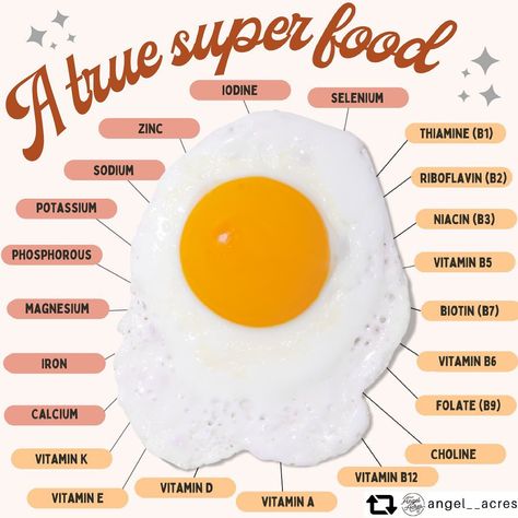 𝗔𝘀𝗵 (𝗣𝗵𝗗) & 𝗦𝗮𝗿𝗮𝗵 (𝗜𝗜𝗡,𝗣𝗡,𝗖𝗣𝗧) on Instagram: “Eggs are one of the most nutrient dense foods, containing most of the essential Vitamins & Minerals. In fact, a whole egg contains all of…” Best Sources Of Protein, Foods With Iodine, Egg Nutrition Facts, Nutrient Dense Foods, Most Nutrient Dense Foods, Vit A, Pasture Raised Eggs, Eating Eggs, Fat Soluble Vitamins