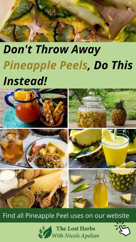 If you throw away pineapple peels, you should read this. The tough and spiky rinds of pineapple are as valuable and nutrient-dense as its pulp. It has a high concentration of bromelain which is an excellent anti-inflammatory. When consumed, it releases bromelain that helps reduce bouts of cold and swollen sinuses, as well as swelling from an injury. Find all Pineapple peel and core uses on our website. How To Use Pineapple Peel, Pineapple Extract Recipes, Pineapple Core Uses, What To Do With Pineapple Scraps, Pineapple Rind Tea Recipe, Pineapple Remedies, Pineapple Rind Uses, Pineapple Pulp Recipes, Pineapple Skin Uses