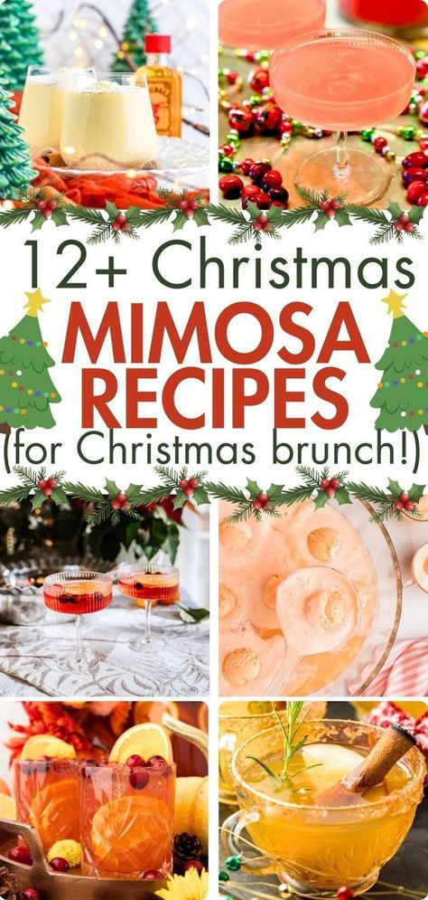 These Christmas Mimosas are the best Christmas morning mimosas to make for Christmas brunch. These recipes are all easy and fun holiday mimosas that are great for a crowd. Try a cranberry mimosa or a green grinch mimosa. You can use either champagne or prosecco and you can serve these in individual flutes with a mini ornament for decor or in a pitcher or punch bowl. If you want to set up a Christmas bar for a party, you’ll find some great Christmas mimosa ideas in this list! Christmas Mimosa Mocktail, Mimosa Without Champagne, Christmas Themed Mimosa, Fancy Mimosa Recipe, Mimosa Christmas Drink, Fun Mimosa Ideas, Sugar Plum Mimosa Recipe, Cranberry Mimosa Champagne, Non Alcoholic Mimosa Bar Ideas