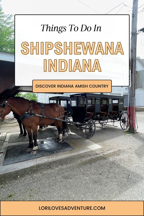 Explore Indiana Amish Country. #shipshewana #amish #Indiana Bus Trips, Shipshewana Indiana, Fishers Indiana, Midwest Region, Fall Road Trip, Amish Community, Thanksgiving Weekend, Unique Vacations, Cross Country Road Trip