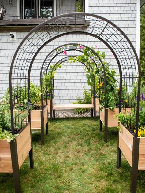 Amazon.com : Gardener’s Supply Company Arch Trellis for Elevated Planter Box | 2' x 4' Garden Arbor Trellis for Climbing Plants, Vegetables and Flowers | Decorative Outdoor Garden Landscape : Patio, Lawn & Garden Wooden Garden Bed, Elevated Planter Box, Outdoor Gardens Landscaping, Arbors Trellis, Arch Trellis, Garden Arbor, Backyard Pools, Garden Area, Inspire Me Home Decor