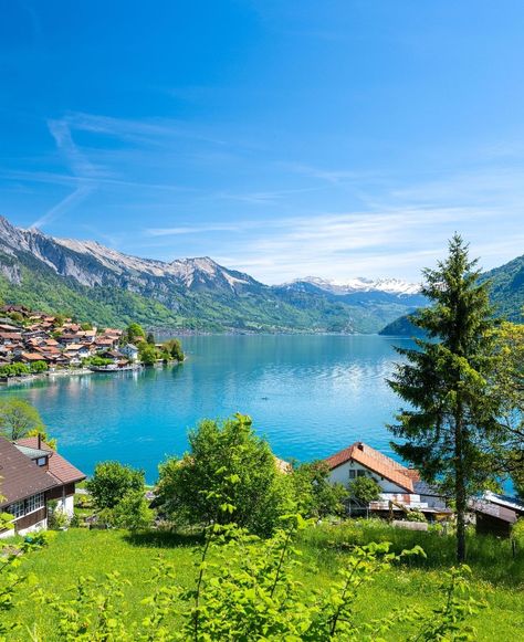 Amazing view of Lake Brienz in Switzerland Switzerland, Lake