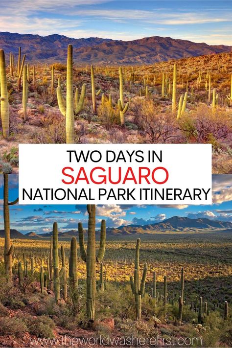 Best Desert, National Park Itinerary, Sonora Desert, Saguaro National Park, Arizona Vacation, Arizona Road Trip, Desert Landscapes, Arizona Travel, Sonoran Desert