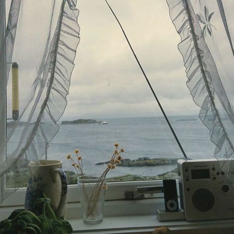 View Flowers, Plants, The Ocean, Playlist Covers, Open Window, The Story