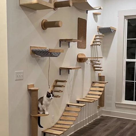 Cat Tree Cat Wall Mounted Climbing Wooden Shelves Posts Ladders with Hammock and Cat House Cat Bridge for Kittens Perch Sleeping - AliExpress Diy Cat Tree On Wall, Cats Climbing Wall, Diy Cat Hammock Wall, Cat Climbing Wall Aesthetic, Cat Wall Gym, Cat Tree On Wall, Cat Wall Climbing, Cat Play Wall, Cat Wall Shelves Diy