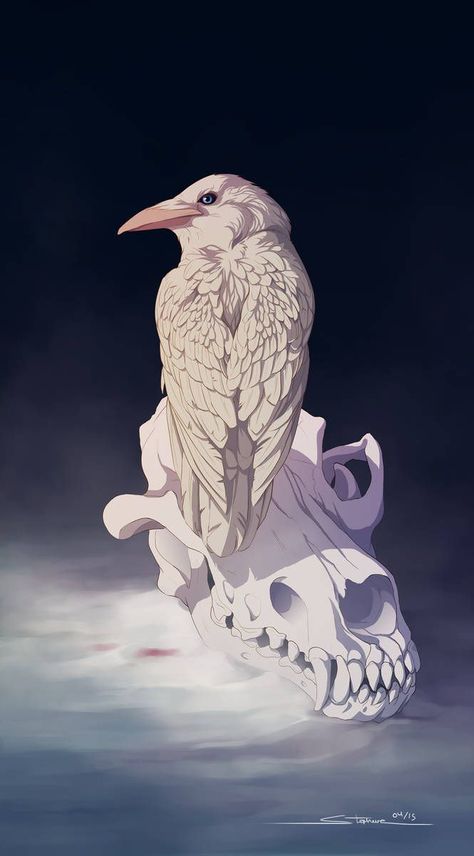 Crows, Raven Illustration, Casa Anime, White Raven, Seni 2d, Raven Art, 문신 디자인, Wow Art, Kraken