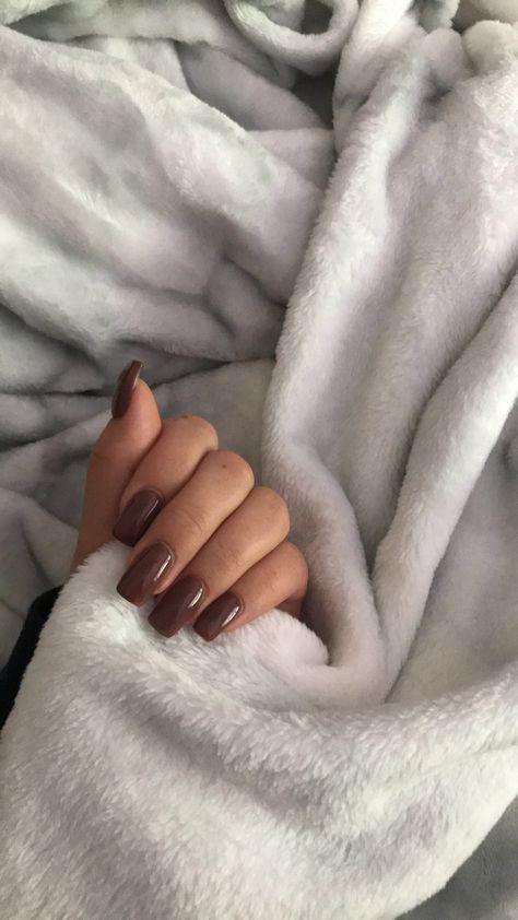 Fall Squoval Acrylic Nails, Autumnal Nails Square, Plain Brown Nails Acrylic, Simple Square Nails Medium, Winter Color Acrylic Nails, Chocolate Square Nails, Medium Square Acrylic Nails Brown, Nails Solid Color With Design, Dark Brown Square Nails