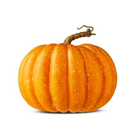 When the leaves are falling and autumn is calling, it's time to bring out the Way To Celebrate Harvest Orange Foam Pumpkin Decoration. Fun and festive, this delightful foam pumpkin will add holiday charm to any room in your home. Place it on side tables, fireplace hearths, or use it as the focal point for your harvest dining table centerpiece. Add seasonal flair to your home, office, or classroom by pairing it with other items from the Way To Celebrate harvest collection. Embrace the autumn char Fireplace Hearths, Harvest Dining Table, Holiday Decor Halloween, Artificial Pumpkins, Foam Pumpkins, Orange Pumpkin, Halloween Decorations Indoor, Pumpkin Orange, Pumpkin Decorating