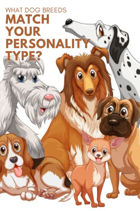 Dog breeds are like people. They also have their personality. Want to know what dog breeds suit your personality type? Read more.. #personalityofdogs #likeparentlikedoggies Dog Personality Types, Smart Dog Breeds, Service Dog Breeds, Lazy Dog Breeds, Dog Breeds Chart, Medium Dog Breeds, Types Of Dogs Breeds, Designer Dogs Breeds, Smartest Dog Breeds