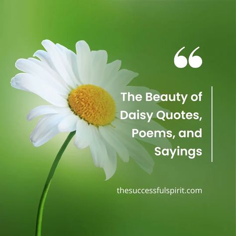 Daisy Poem Short, Positive Quotes With Flowers, Daisy Sayings Quotes, Poems About Daisies, Daisy Birthday Quotes, Daisy Captions For Instagram, Daisy Quotes Inspirational, Quotes About Daisy Flowers, Daisy Quotes Simple