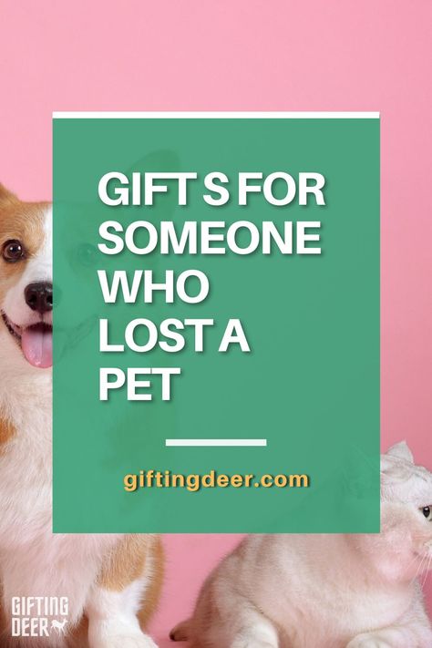 Pet Died Gift, Pet Loss Gift Basket, Loss Of Pet Gift Ideas, Gifts For People Who Lost A Dog, Pet Memorial Gifts Diy, Gift For Friend Who Lost A Dog, Pet Remembrance Gifts, Gift For Loss Of Dog, Loss Of A Dog Gifts