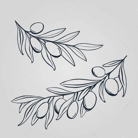 Olive Branch Outline Tattoo, Olive Drawing Simple, Olive Branch Doodle, Olive Branch Sketch, Olive Branch Drawing, Olive Branch Vector, Olive Branch Art, Sorry Mom Tattoo, Olive Tattoo