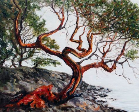 Arbutus Tree in the fog St. John's Point by Canadian landscape artist Terrill Welch. Pacific Madrone Tree, Madrone Tree Tattoo, Arbutus Tree Painting, Arbutus Tree Tattoo, Madrona Tree, Denver Garden, Madrone Tree, Tree Line Drawing, Arbutus Tree