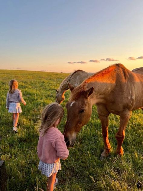 Aesthetic Dream Life, Horses Farm, Farming Family, Abandoned Farmhouse, Girl Outfit Ideas, Aesthetic Dream, Abandoned Cities, Farm Land, Future Farms