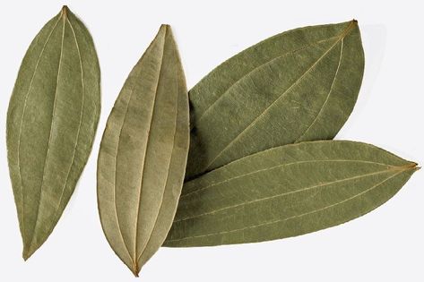 Tejpata (Indian Bay Leaf) – Cinnamomum Tamala Cinnamon Food, Burning Bay Leaves, Green Herbs, Dried Bay Leaves, Photo Clipart, Herbs Spices, Bay Leaf, Indian Homes, Bay Leaves