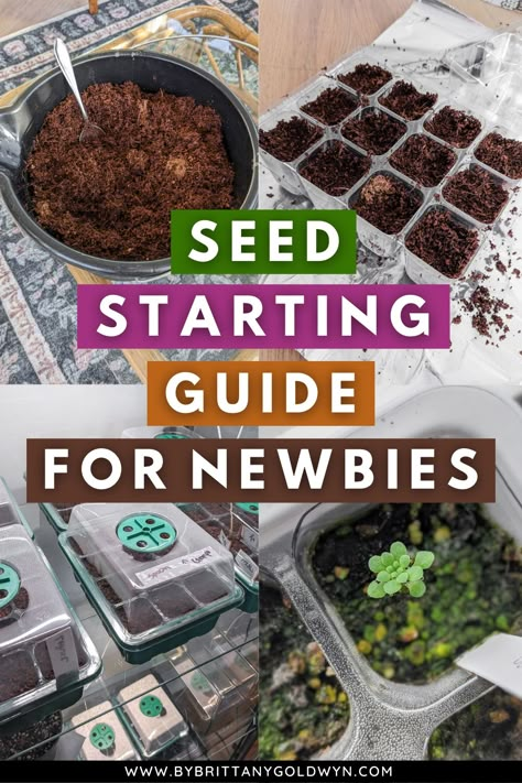 Starting Seeds Indoors Diy, Starting Vegetable Seeds, When To Plant Seeds, Planting Seeds Indoors, Seeds Of Change, Indoor Vegetables, Starting Seeds, Garden Magic, Starting Seeds Indoors