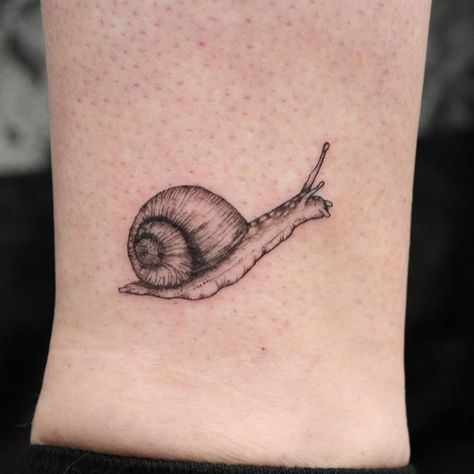 k on Instagram: “✒ All we need is a safe place to sleep ✒ another snail for Lauren 😍 (we might have a secret snail tattoo project in the works) thank you🤗✨…” Mystery Snail Tattoo, Garden Snail Tattoo, Snail Tattoo Fine Line, Realistic Snail Tattoo, Cute Snail Tatoos, Matching Snail Tattoo, Snail Tattoo Cute, Snail On Mushroom Tattoo, Snail Tatoos