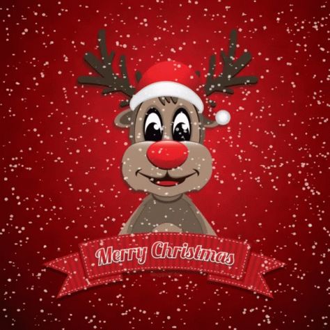 Merry Christmas Reindeer GIF - MerryChristmas Reindeer - Discover & Share GIFs Merry Christmas Funny, An Elf, About Christmas, Holiday Inspiration, Ho Ho Ho, Christmas Winter, Food Festival, Merry And Bright, Christmas Humor