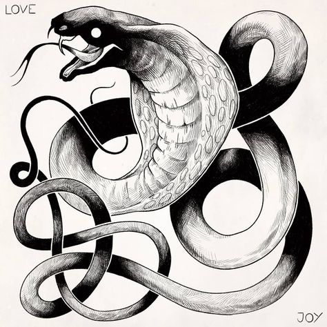 King cobra by evanlovejoy (TUMBRL) Lovejoy Art, Dragon Anatomy, White Aesthetics, Tier Tattoo, Creepy Animals, King Cobra, Tattoo Style Drawings, Fantasy Creatures Art, Dark Art Illustrations