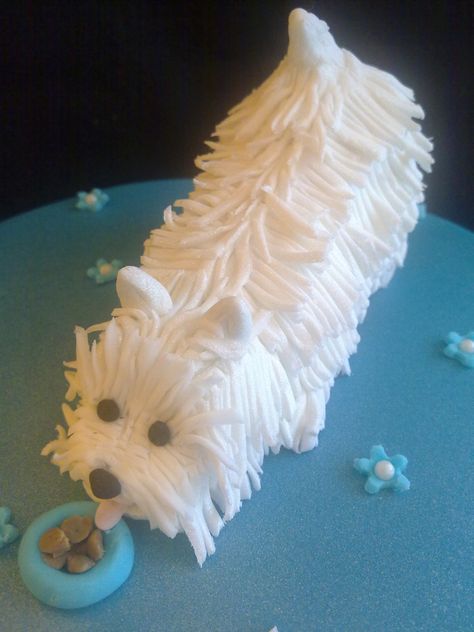 Westie Dog | by Creations By Paula Jane Westie Cake, Doggy Cake, Dog Westie, Cake Dog, Westie Dog, Animal Cakes, Dog Cakes, Mom's Birthday, Westie Dogs