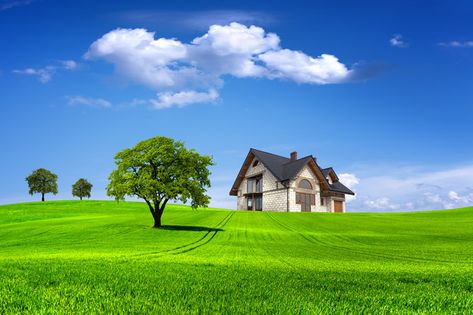 Fresh tree grass house background material 3d Nature Wallpaper, Desktop Background Nature, Nature Desktop Wallpaper, Nature Images Hd, Nature Desktop, New Nature Wallpaper, Pc Photo, Best Nature Wallpapers, Laptop Wallpaper Desktop Wallpapers