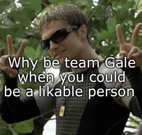 Josh Hutchinson, Gale Hunger Games, Hunger Games Finnick, Hunger Games Jokes, Team Gale, Hunger Games Peeta, Hunger Games Memes, Hunger Games Movies, Hunger Games Fandom