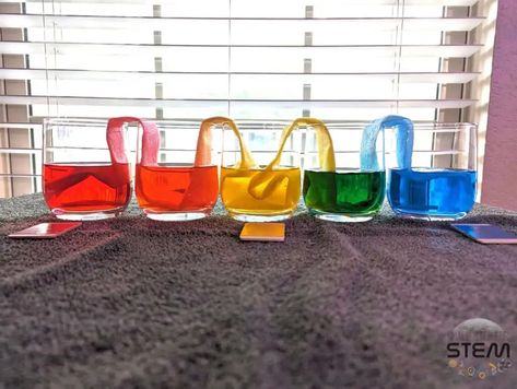 Rainbow Rivers: Unveiling the Science of Capillary Action with Colored Water Bridges – Small Step for STEM Capillary Action, Rainbow River, Stem Experiments, Project Report, Colored Water, Kid Experiments, Small Step, Stem Science, Science Project