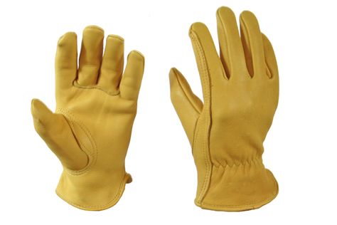 PW's list of what to get a cowboy or cowgirl for Christmas Mechanic Gloves, Leather Work Gloves, Gardening Outfit, Gardening Gloves, Deer Skin, Work Gloves, Work Safety, Goat Leather, Mens Gloves