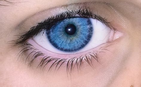 Electric Blue Eyes, Heterochromia Eyes, Blue Eyes Aesthetic, Rare Eyes, Dark Blue Eyes, Light Blue Eyes, Beautiful Eyes Color, Reference Photos For Artists, Behind Blue Eyes