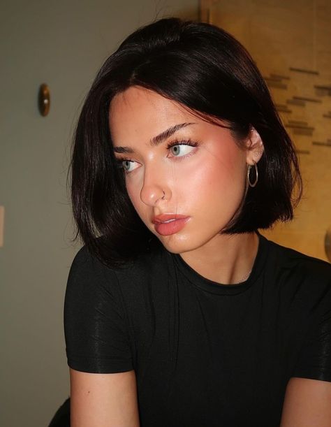 Short Hair Goals Aesthetic, Black Bob Character, Short Dark Hair Updo, Bob Hairstyles Asian Round Faces, Short Dark Brown Hair Layers, Women Short Hair Round Face, Sleek Black Bob, Sleek Straight Bob, Cool Brown Short Hair