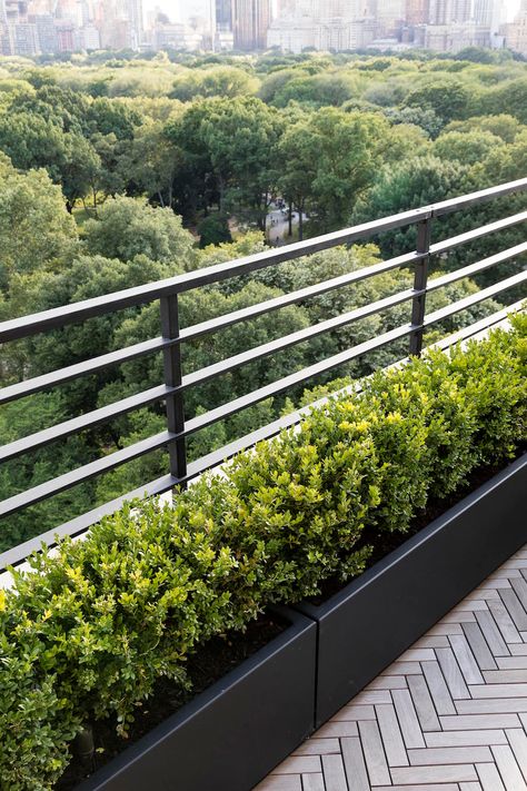 Garden Designer Visit: A Manhattan Terrace with Panoramic Central Park Views - Gardenista Balcony With Plants, Roof Terrace Design, Roof Garden Design, Terrace Garden Design, Rooftop Terrace Design, Balcony Railing Design, Terrace Decor, Balkon Design, Rooftop Design