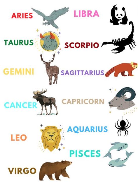 The spirit animals of the zodiac signs! Aquarius Animal Zodiac, Zodiac Spirit Animals, Zodiac Sign Animals, Aquarius Spirit Animal, Aquarius Animal, Gemini Animal, Zodiac Signs As Animals, Rat Zodiac, Zodiac Signs Art