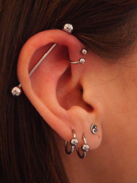 34 Ear Piercings Ušný Piercing, Spiderbite Piercings, Piercing Snug, Ear Stacking, Ear Piercings Industrial, Industrial Earrings, Piercing Conch, Earring Inspo, Helix Piercings