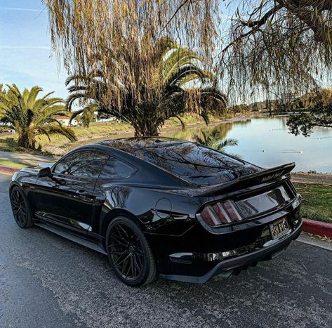 Black Mustang Gt, Mustang Gtr, Car Cleaning Tips, Black Mustang, Car Decorations Interior, Car Tattoo Design, Quotes Car, Black Cars, Mustang Gt500