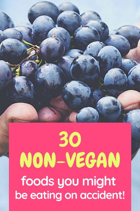 Going vegan involves a lot of trial and error. There are so many foods you might assume are vegan but aren't for one reason or another. Here are 30 non-vegan foods to watch out for at the grocery store! Accidentally Vegan Foods, Vegan Lifestyle Inspiration, Reasons To Be Vegan, Vegan Food List, Famous Vegans, Healthy Pregnancy Food, Grocery Store Items, Vegan Grocery List, Cheap Vegan