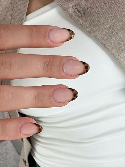 Simple Nails Acrylic Neutral, French Tip Nails Leopard, How To Leopard Nails, French Nails With Leopard Print, Brown Nail French Tip, Oval Cheetah Nails, Going Into Fall Nails, Leapord French Tip Nails Acrylic, French Tip With Cheetah Print