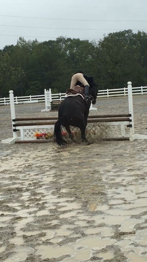 Horse jumping falls #horses #horsefail People Falling Off Horses, Black Horse Jumping, Falling Off Horse, Horse Riding Jumping, Horse Falls, Fell Pony, Horsey Life, Jumping Horse, Show Jumping Horses