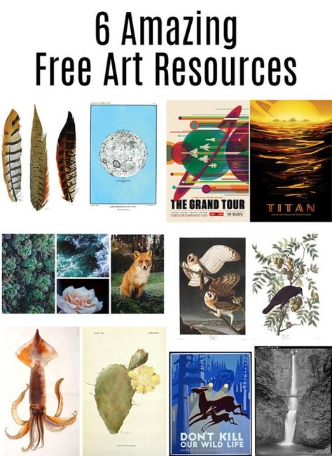 Free Art Resources: Sites with amazing free art of all styles that you can print yourself. Free Printable Wall Art Quotes, Vintage Bird Illustration, Astronomy Art, Art Resources, Free Printable Art, Copy Print, Free Art Prints, Floor Art, Eclectic Art